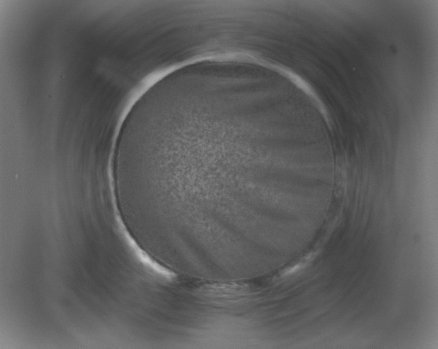 X0000081410959200701191526