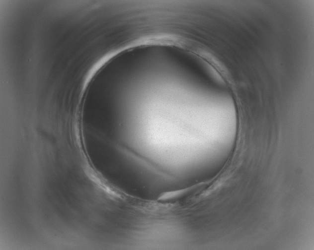 X0000081410960200701191526