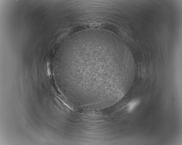 X0000081410962200701191526