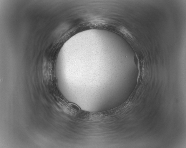 X0000081410964200701191526
