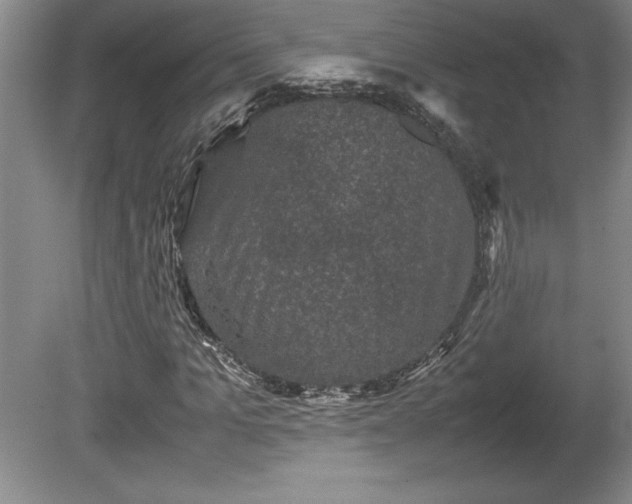 X0000081410965200701191526