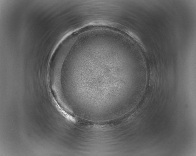 X0000081410976200701191525
