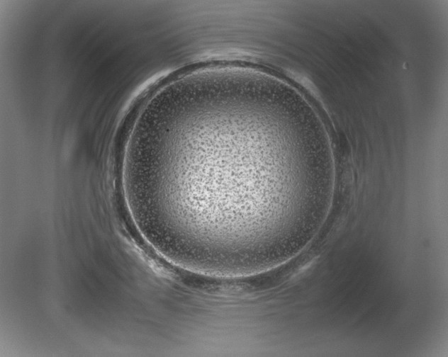 X0000081410979200701191525