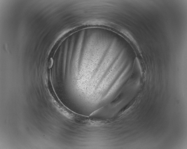 X0000081410984200701191525