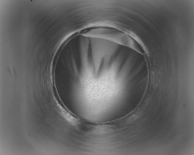 X0000081410988200701191525