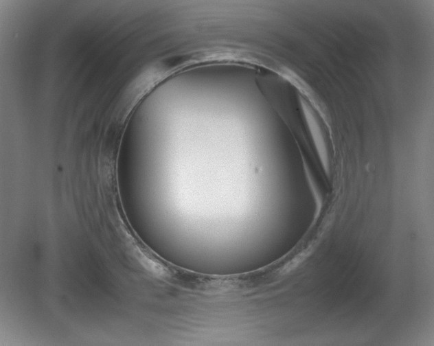 X0000081410993200701191525