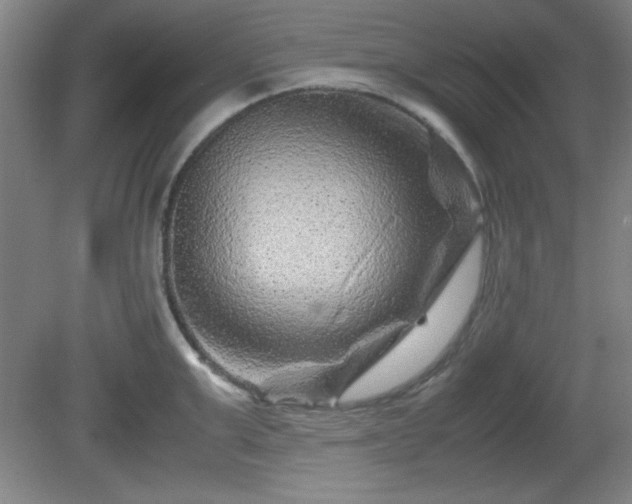 X0000081410999200701191525