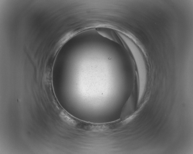 X0000081411001200701191525