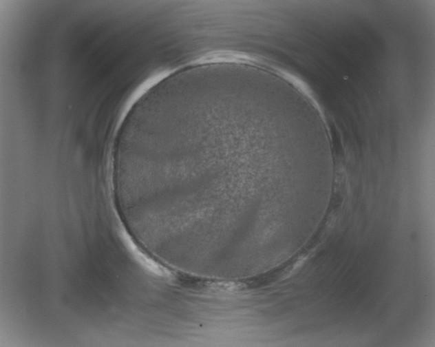 X0000081411003200701191525