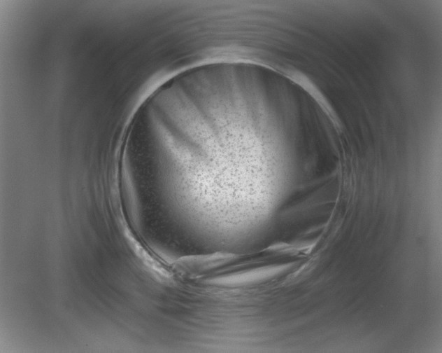 X0000081411004200701191525