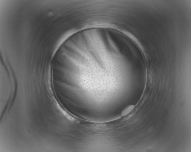 X0000081411006200701191525