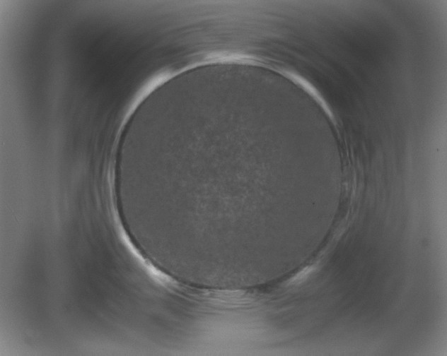 X0000081411007200701191525