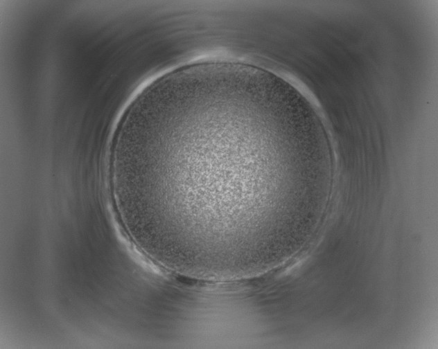 X0000081411008200701191525