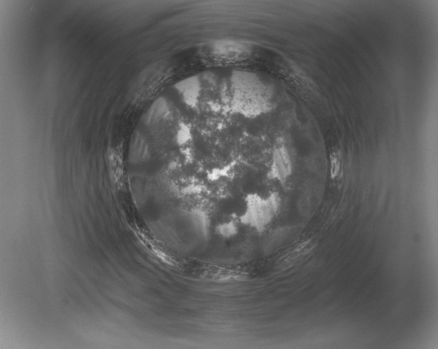 X0000081411011200701191524