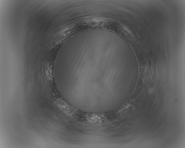 X0000081411013200701191524