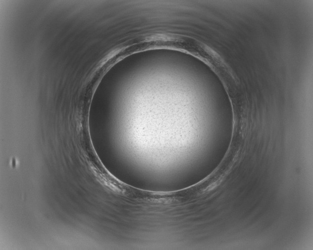 X0000081411017200701191524