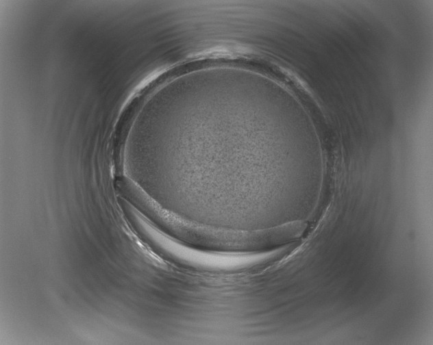 X0000081411018200701191524