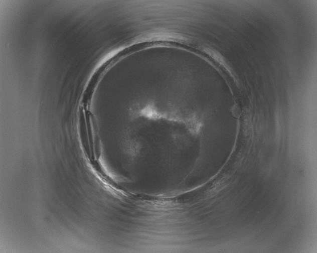 X0000081411024200701191524