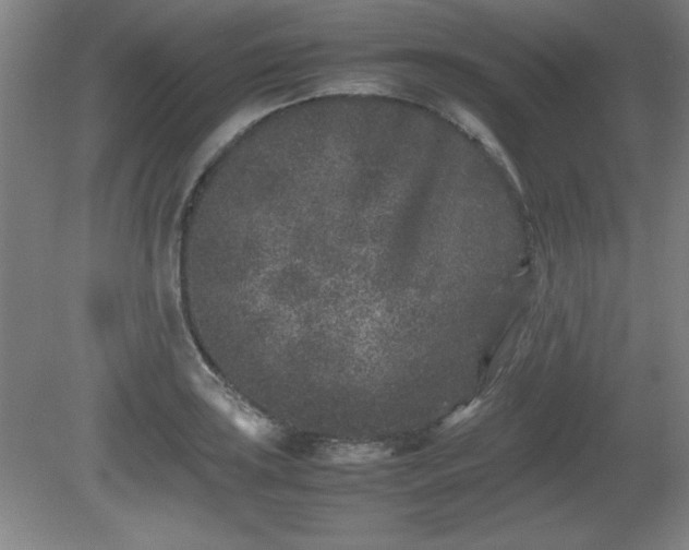 X0000081411035200701191525