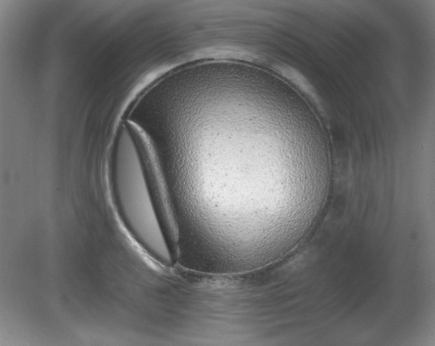X0000081411040200701191525