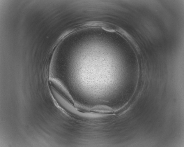 X0000081411049200701191525