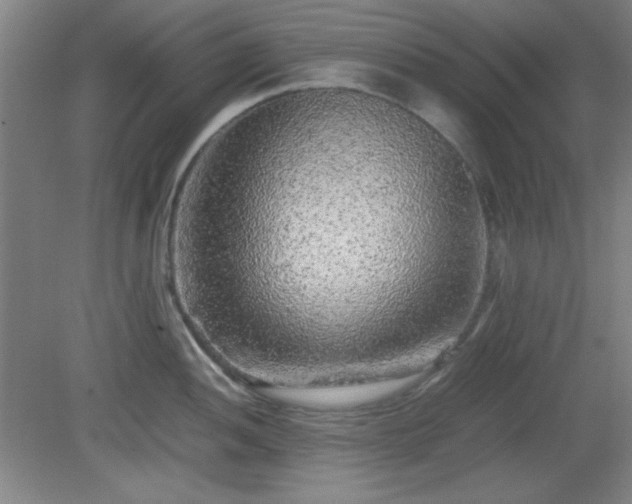 X0000081411052200701191525