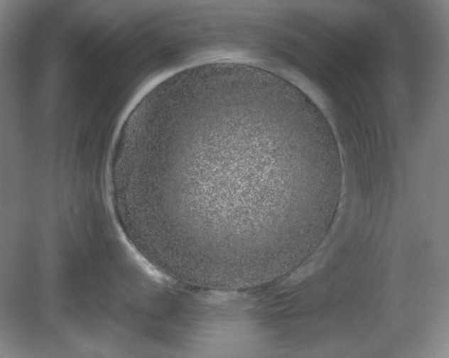 X0000081411056200701191525