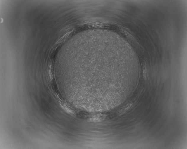 X0000081411060200701191524