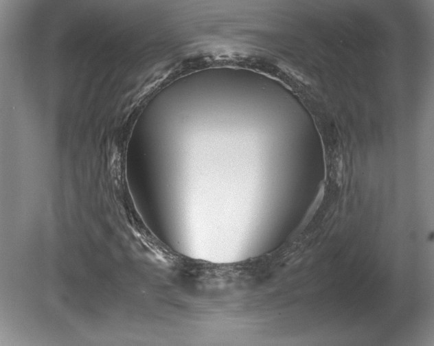 X0000081411061200701191524