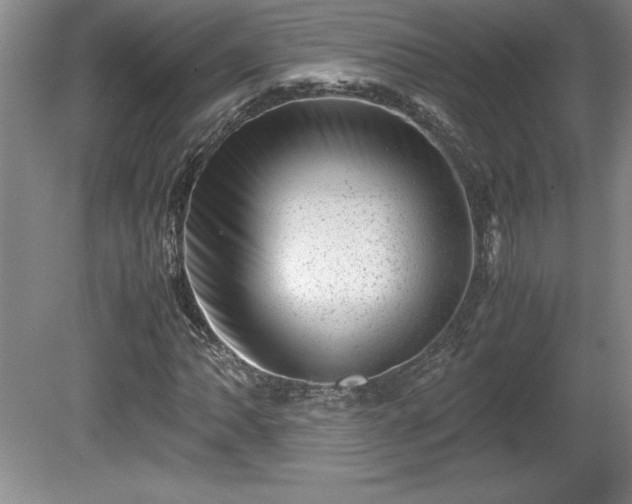 X0000081411062200701191524