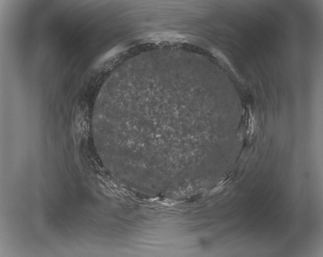 X0000081411063200701191524