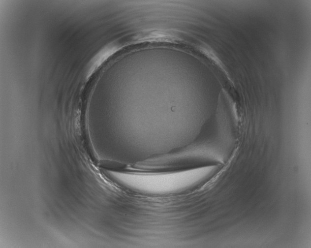 X0000081411066200701191524