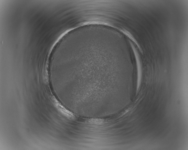 X0000081411068200701191524