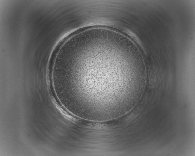 X0000081411072200701191524