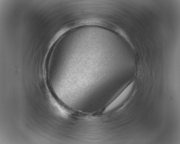 X0000081411082200701191524