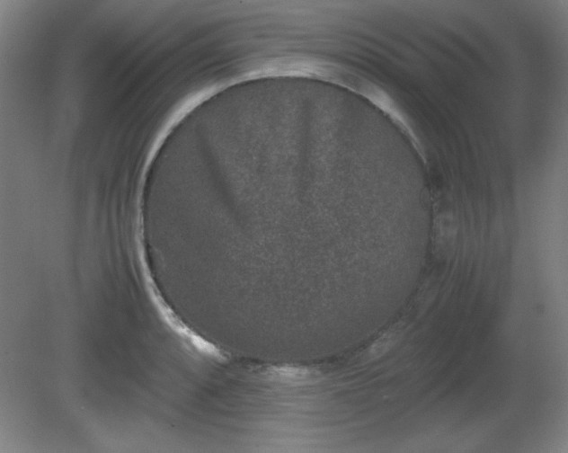 X0000081411088200701191524