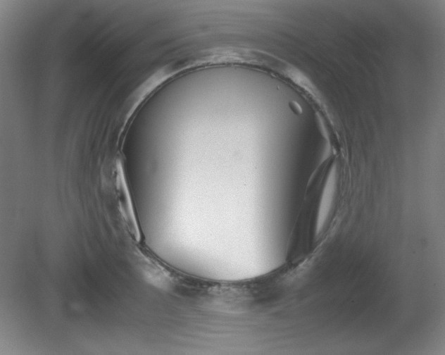X0000081411089200701191524