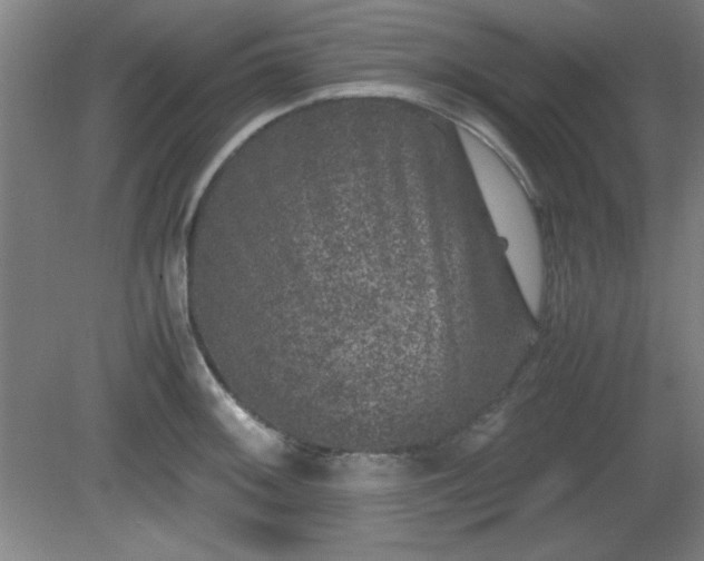 X0000081411092200701191523
