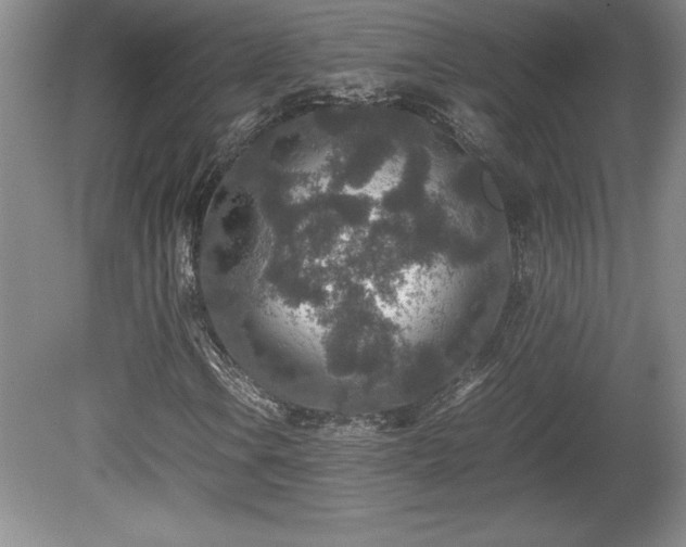 X0000081411106200701191522