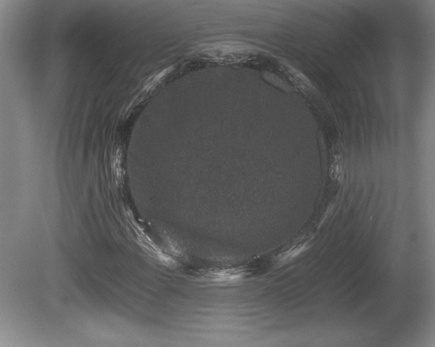 X0000081411108200701191523