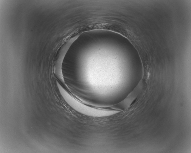 X0000081411109200701191523