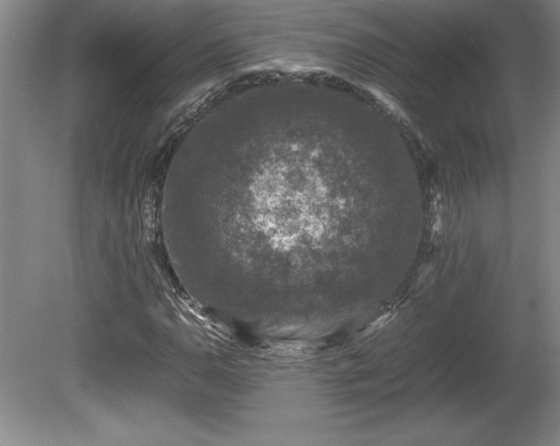 X0000081411110200701191523