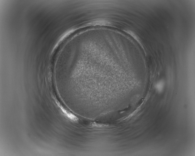 X0000081411115200701191523