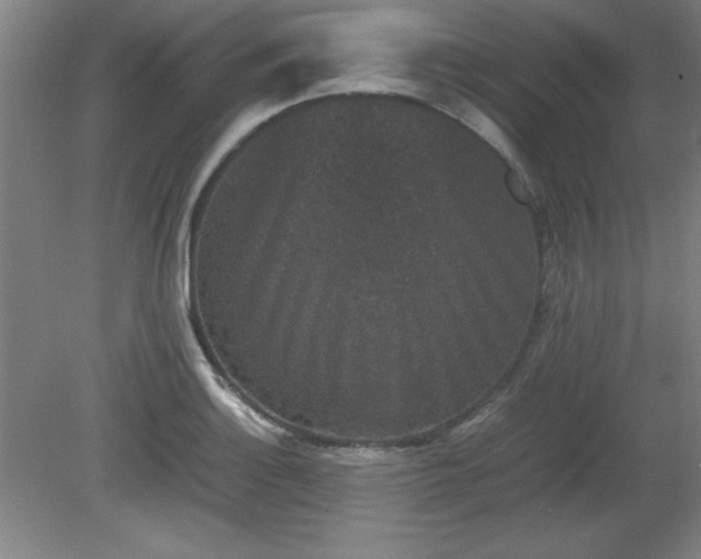 X0000081411132200701191523