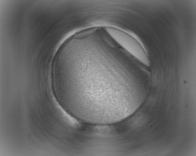 X0000081411142200701191523