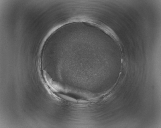 X0000081411144200701191523
