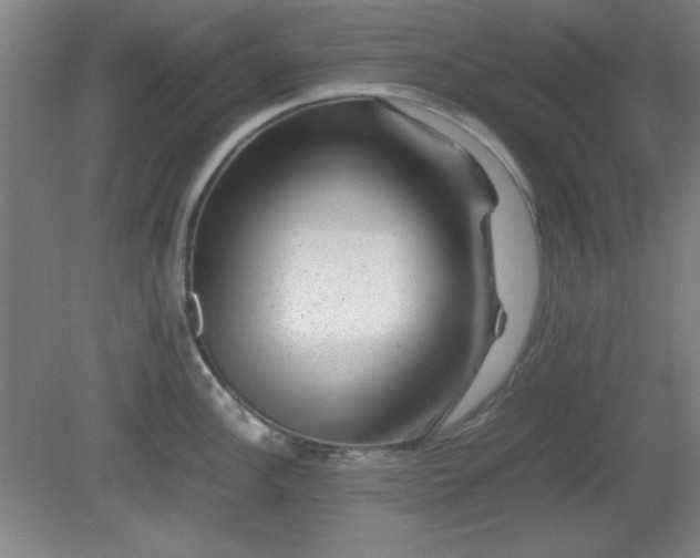 X0000081411148200701191523