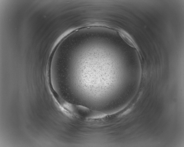 X0000081411149200701191523
