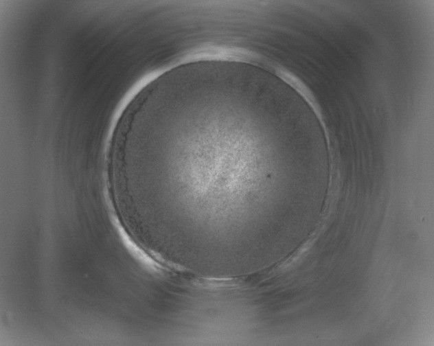 X0000081411152200701191523