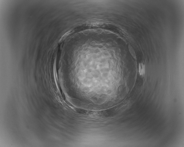 X0000081411155200701191522